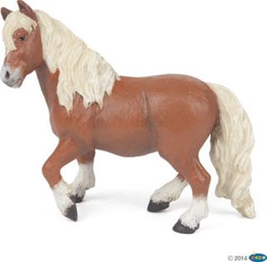 Изображение Figurka Papo Kuc szetlandzki