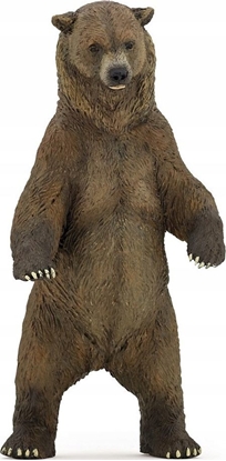 Picture of Figurka Papo Niedźwiedź Grizzly