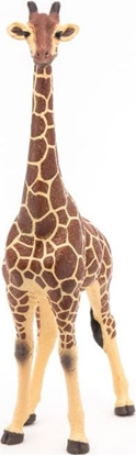 Изображение Figurka Papo Żyrafa samiec