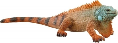 Attēls no Figurka Schleich Iguana