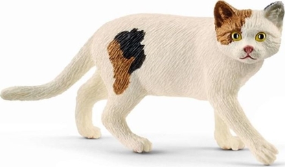 Picture of Figurka Schleich Kot amerykański krótkowłosy