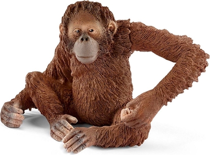 Picture of Figurka Schleich Orangutan samica (575338)
