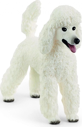 Изображение Figurka Schleich Pudel duy