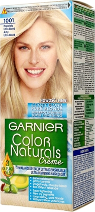 Picture of Garnier Color Naturals Creme 1001 popielaty