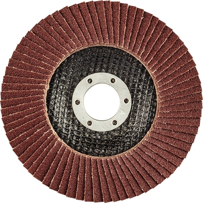 Picture of Graphite ciernica listkowa (ciernica listkowa 125 x 22.2 mm, K100)