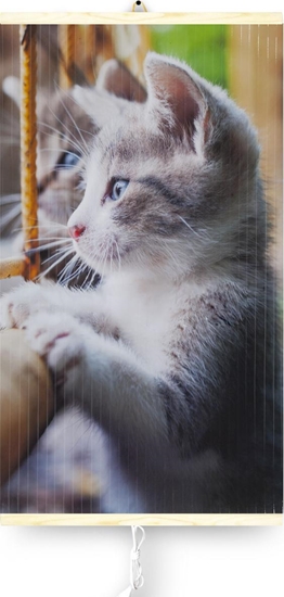 Изображение Grzejnik Trio Grzejnik na podog na podczerw. przenony 100/60