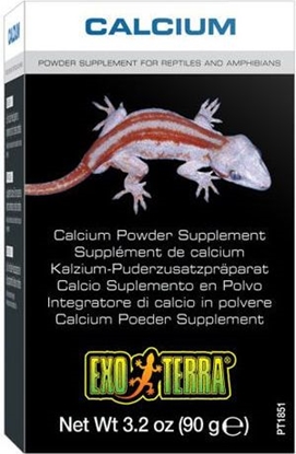Attēls no Hagen EXOTERRA CALCIUM+WITAMINA D3 90 G
