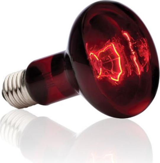 Picture of Hagen EXOTERRA AR. INFRARED SPOT 50W