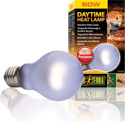 Attēls no Hagen EXOTERRA ARÓWKA DAYTIME HEAT 60W