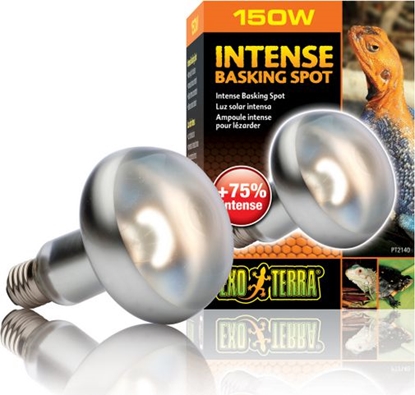 Attēls no Hagen EXOTERRA ARÓWKA INTENSE SPOT 150W