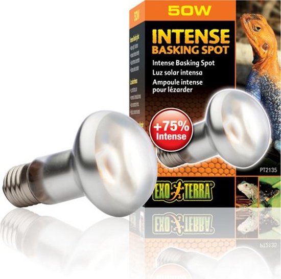 Изображение Hagen EXOTERRA ARÓWKA INTENSE SPOT 50W
