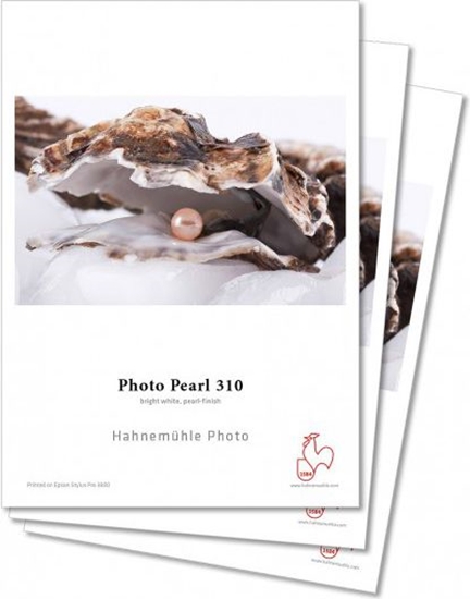 Picture of Hahnemühle Papier fotograficzny do drukarki A4 (HAH10641960)