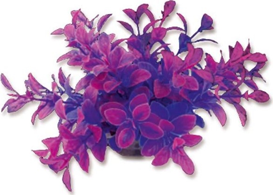 Picture of Happet HAPPET ROLINA FOLIA 10CM / 1F15