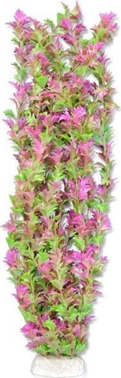 Picture of Happet HAPPET ROLINA FOLIA 65CM / 6F36