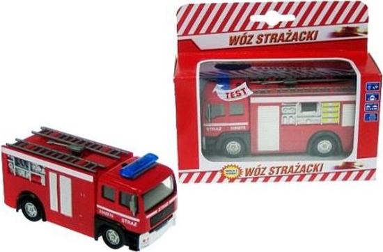 Picture of Hipo Auto Stra z gosem 11cm