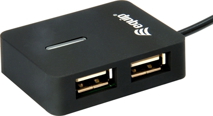 Picture of Equip 128952 interface hub USB 2.0 480 Mbit/s Black