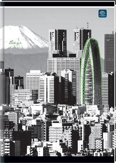 Picture of Interdruk Brulion A5/96K gadki mix (5szt)