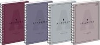 Attēls no Interdruk Koozeszyt B5/100K kratka Academy (5szt)