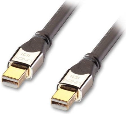 Изображение Lindy 41542 DisplayPort cable 2 m Mini DisplayPort Black