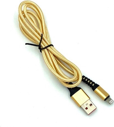 Attēls no Kabel USB Denmen USB-A - Lightning 1 m Złoty (29359)