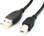 Изображение Kabel USB Gembird USB-A - 1.8 m Czarny (CCPUSB2AMBM6)