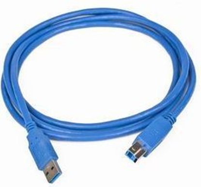 Picture of Kabel USB Gembird USB-A - USB-B 1.8 m Niebieski (CCPUSB3AMBM6)