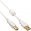 Attēls no Kabel USB InLine USB-A - USB-B 10 m Biay (34550W)