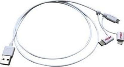 Изображение Kabel USB Roline USB-A - microUSB + USB-C 1 m Biay (JAB-4216448)