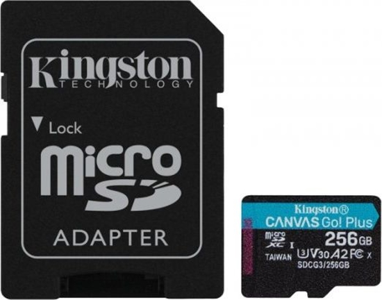 Picture of Karta Kingston Canvas Go! Plus MicroSDXC 256 GB Class 10 UHS-I/U3 A2 V30 (SDCG3/256GB)