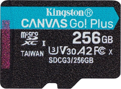 Attēls no Karta Kingston Canvas Go! Plus MicroSDXC 256 GB Class 10 UHS-I/U3 A2 V30 (SDCG3/256GBSP)