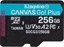 Изображение Karta Kingston Canvas Go! Plus MicroSDXC 256 GB Class 10 UHS-I/U3 A2 V30 (SDCG3/256GBSP)
