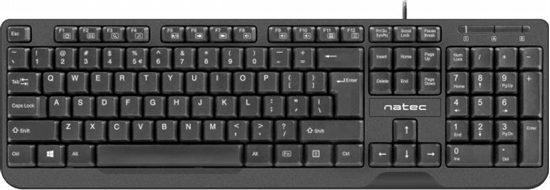 Изображение Klawiatura Natec Trout Slim (NKL-1720)