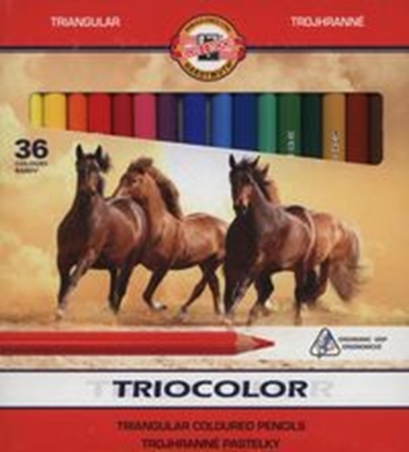 Picture of Koh I Noor Kredki Triocolor 36 kolorw