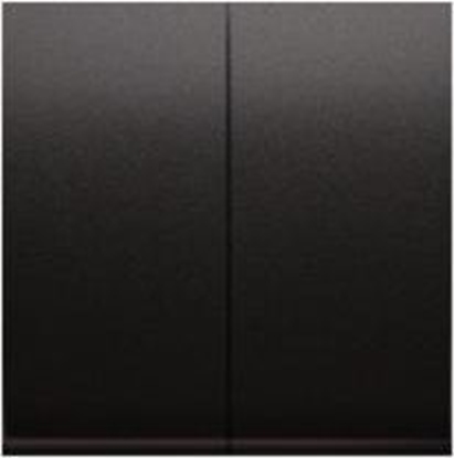 Изображение Kontakt-Simon 54 Klawisz podwójny cznika schodowego do SW6/2M, antracyt (DKW6/2/48)