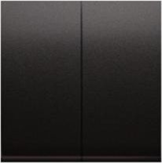 Изображение Kontakt-Simon 54 Klawisz podwójny cznika schodowego do SW6/2M, antracyt (DKW6/2/48)