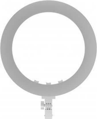 Attēls no Lampa piercieniowa Newell  LED Newell RL-18A - WB (3200 K - 5500 K) - Arctic White