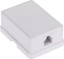 Picture of LechPol Gniazdo telefoniczne pojedyncze mini-pin biae (TEL0019 LX9127/6/4)