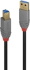 Picture of Lindy 3m USB 3.2 Type A to B Cable, Anthra Line