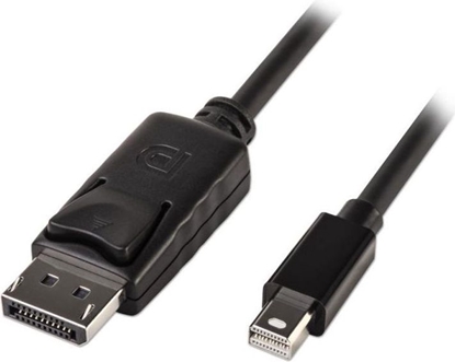 Attēls no Lindy Mini DP to DP cable, black 2m
