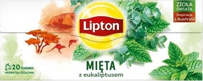 Picture of Lipton LIPTON_Herbata zioowa Mita z Eukaliptusem 20 torebek 26g