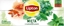 Picture of Lipton LIPTON_Herbata zioowa Mita z Eukaliptusem 20 torebek 26g