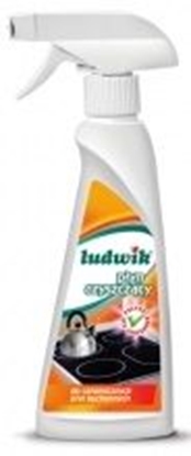 Picture of Ludwik Pyn do mycia pyt ceramicznych 250 ml