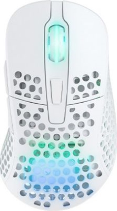 Изображение Datorpele Cherry XTRFY M4 RGB Wireless white