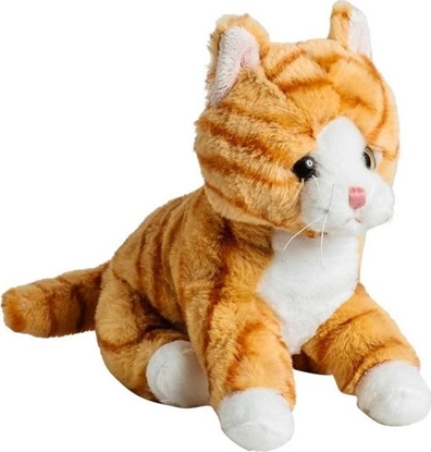 Изображение Molli Toys Kot rudy 20cm (7949)