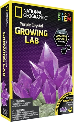 Attēls no National Geographic Mokslinis žaidimas Užaugink kristalą National Geographic Crystal Grow Purple, NGPCRYSTAL