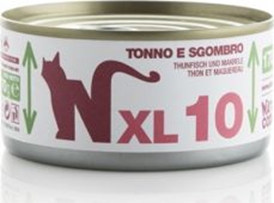 Picture of Natural Line s.r.l Karma mokra 10 z tuczykiem i makrel 170g