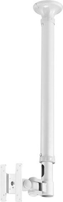 Изображение Neomounts by Newstar monitor ceiling mount