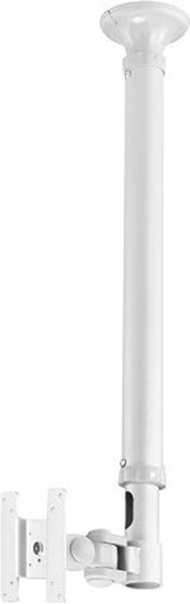 Изображение Neomounts by Newstar monitor ceiling mount