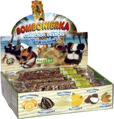 Attēls no Nestor BOMBONIERKA GRYZO EGZOTYCZNA