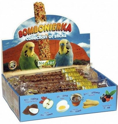 Picture of Nestor BOMBONIERKA P.MAA